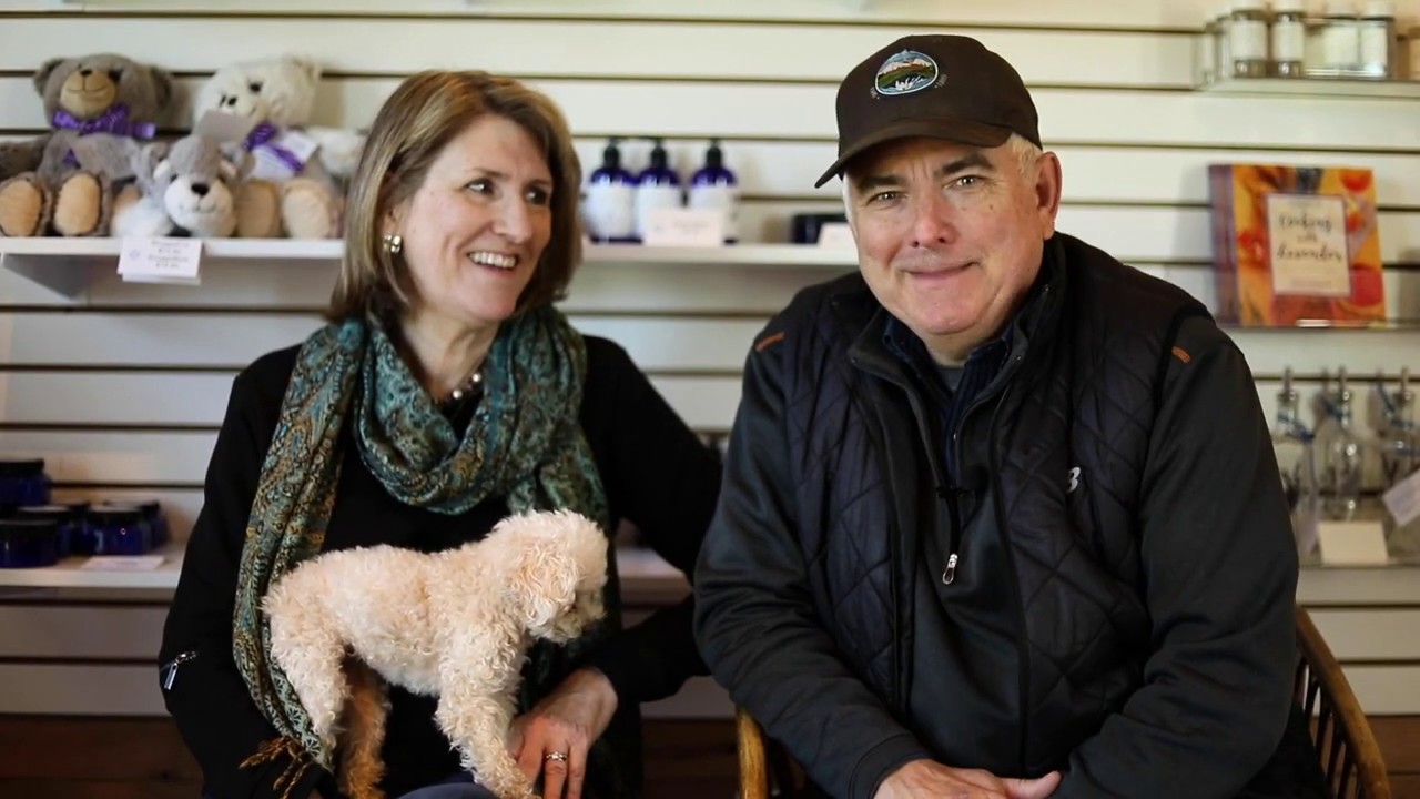 Working in the City: Lookout Lavender