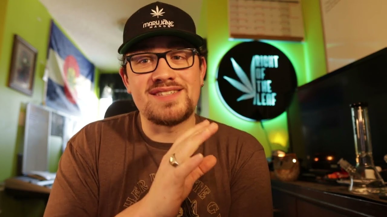 Grape Punch Shatter by Organnicraft One Hitter Concentrate Review