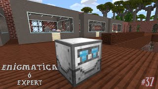 Enigmatica 6 Expert | Dissolution Chamber! Apiaries! | Ep 37