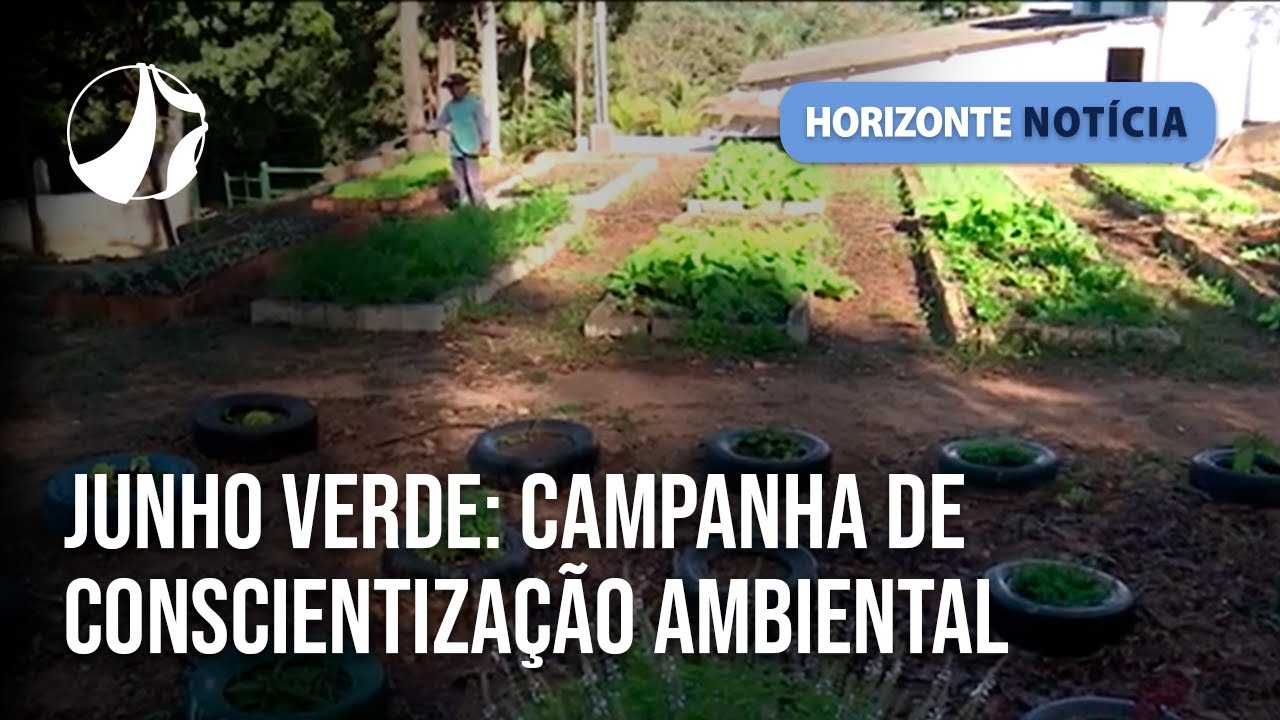 Junho verde: mês internacional da conscientização sobre a