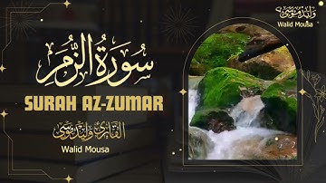 تلاوة خاشعة من سورة الزمر تبعث راحة عميقة وسكونًا في النفس | Surah Az-Zumar Emotional Healing Quran