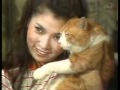 八代亜紀の猫 なみだ恋 Singer's cat
