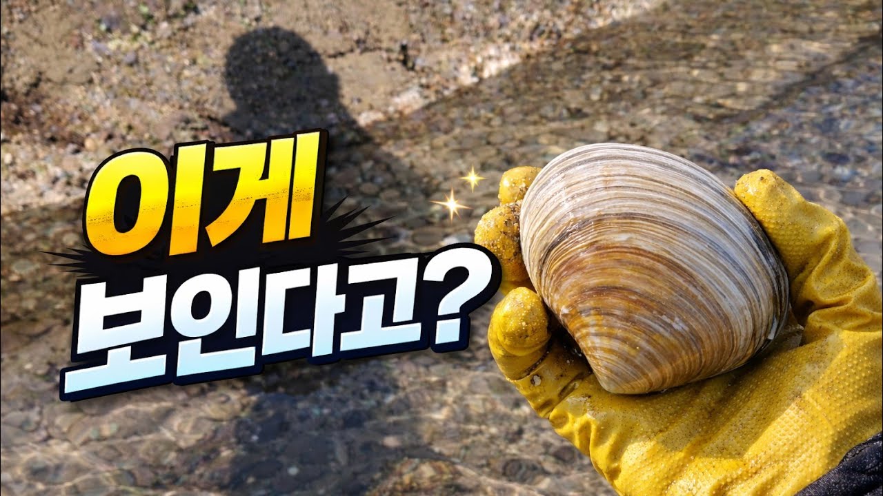 설날 아침 이녀석을 찾을수 있을까?