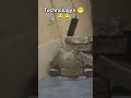 #funny expret#1subscribeplease #tecnologia #funnyvideo #comedy #