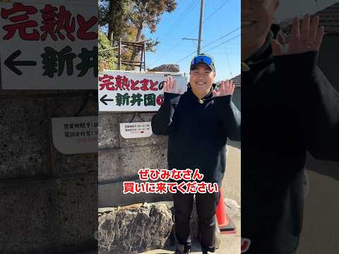 飯能市の大人気のトマト農家🍅完熟とまとの新井園