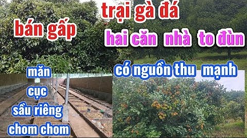 Cần bán  nhà  vườn  cây ăn trái.có nguồn thu. . Giá  chỉ  4ty500tr