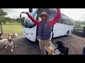 Wednesday at the farm with NEW Doggy Bus