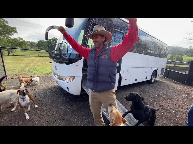 Wednesday at the farm with NEW Doggy Bus class=