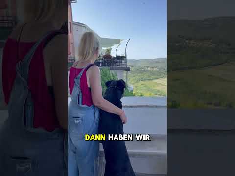 Urlaub mit Hund in Kroatien 🇭🇷