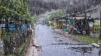 I WALKED IN THE RAIN BY A RURAL RICE FIELD