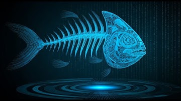 Blowfish a symmetric key block cipher