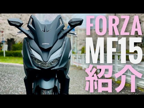 新型フォルツァmf15 バイク納車後のレビュー Forza250 ビックスクーター21 Nipponxanh