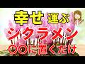 シクラメン●●に置いて!幸せやって来ます【風水アドバイザーが解説します】