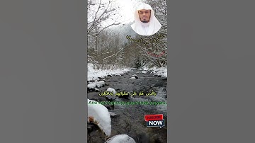 💫 تلاوة عذبة من سورة المؤمنون | ياسر الدوسري – بداية تبشر بالفلاح!
