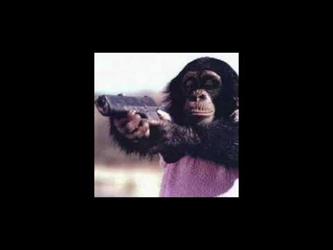 Youtube: RETRO X – SKOUM