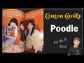 Conton Candy - poodle (Reaction)