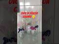 Ovos de Páscoa !!+
