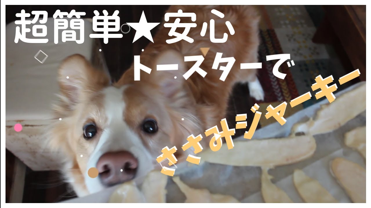 犬用おやつ 一番簡単レシピでささみジャーキー作った時のボーダーコリーの反応は Youtube