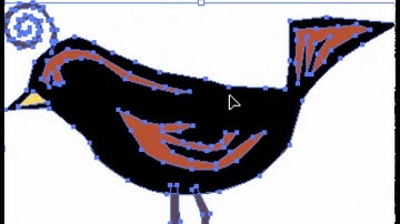 Direct Selection White Arrow - Adobe Illustrator Lesson