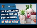 Les 5 meilleurs pots dcoratifs pour succulentes