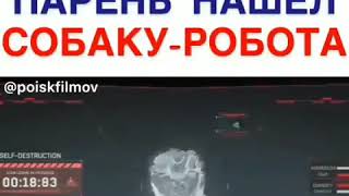 Среди хлама парень нашёл собаку-робота. Название Аксель Среди хлама парень нашёл собаку-робота. Название Аксель