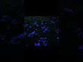 Song: veura - reminiscence #ambientmusic #ambient #lofi #relaxingmusic   #aesthetic #darkambient