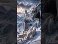 The King of the Frozen Mountains 🐺❄️ | Arctic Wolf Pack Adventure #Shorts #YouTubeShorts #ArcticWolf