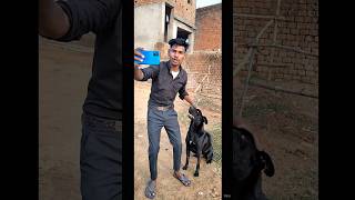 short vlog #shortvideo #souravjoshivlogsfanclub #minivlog