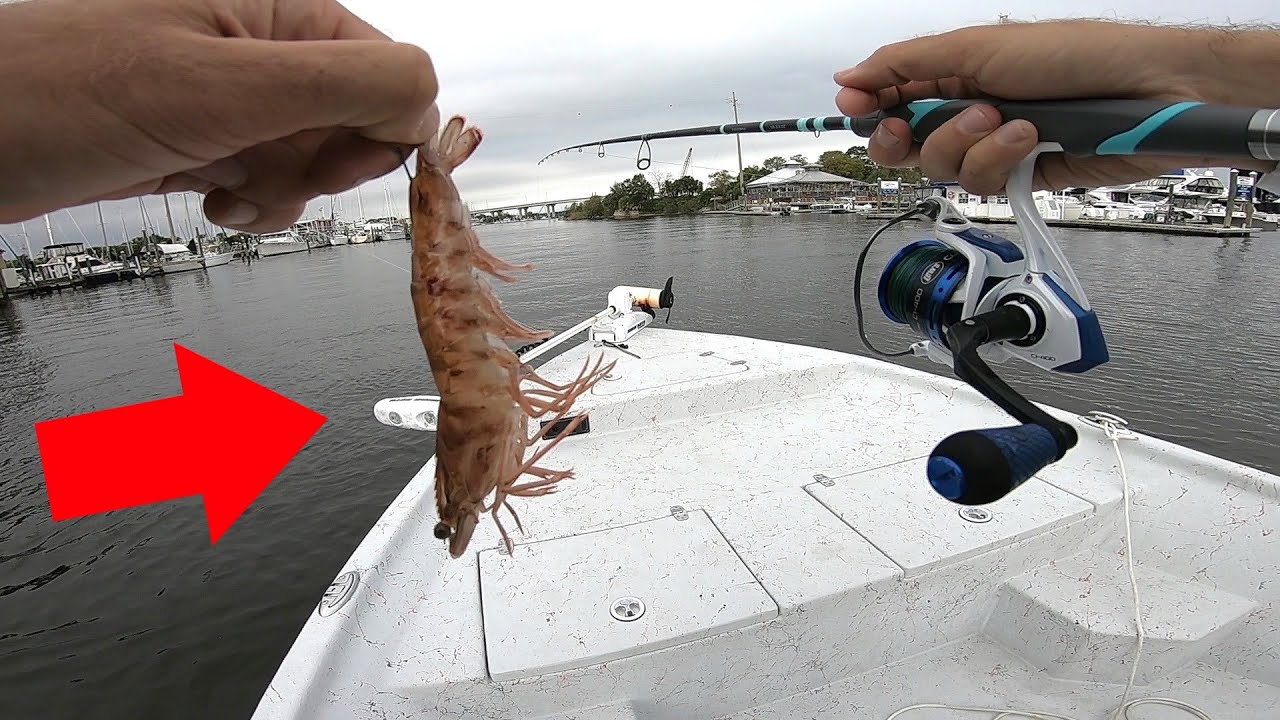 Fangfeen Pieghevole Crab Mesh Gamberi Aragosta gamberi Prawn Mano Trappola Pesca Rete da Pesca Rete Cage Nassa per Pesci
