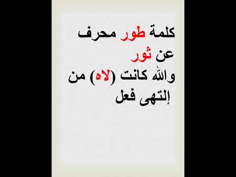 أمثال شعبية مصرية طور الله في برسيمو  حكمه في قصه6 امثال شعبية