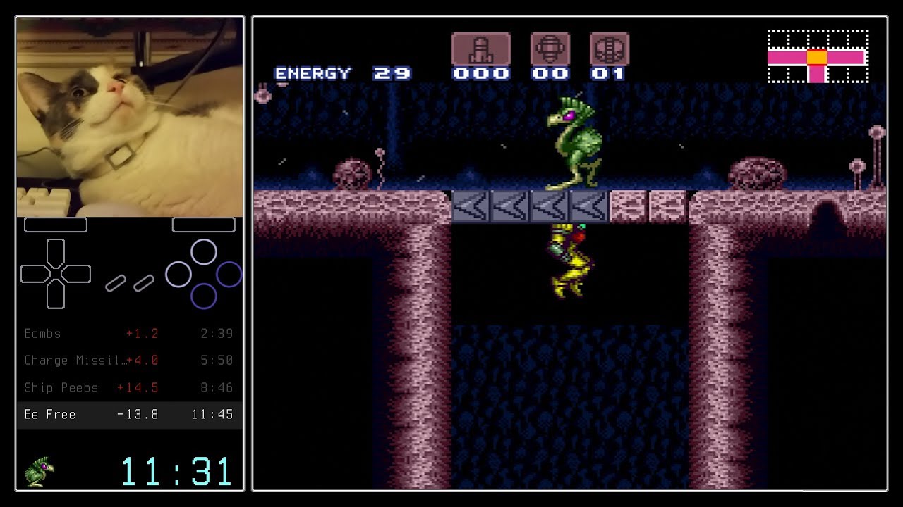 Free the Dachora RTA - 