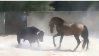 видео: Мана Отлар Нималарга Кодир/ Отлар Кангалга Тимсохга Букага Карши #отлар хакида картинка: Мана Отлар Нималарга Кодир/ Отлар Кангалга Тимсохга Букага Карши #отлар хакида