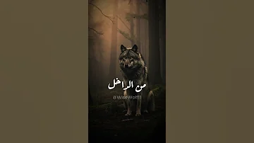 احترم نفسك قبل أن تطلب احترام الآخرين Shorts Explore Viralvideo اقوال اقنباسات 