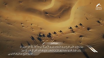 القارئ عبدالرزاق الدليمي | سورة النمل