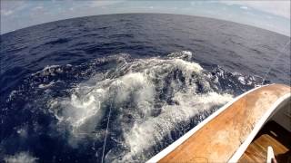 Tradition Charters 2014 Part 2