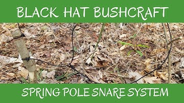 Primitive Traps: Spring Pole Trail Snare 🐇