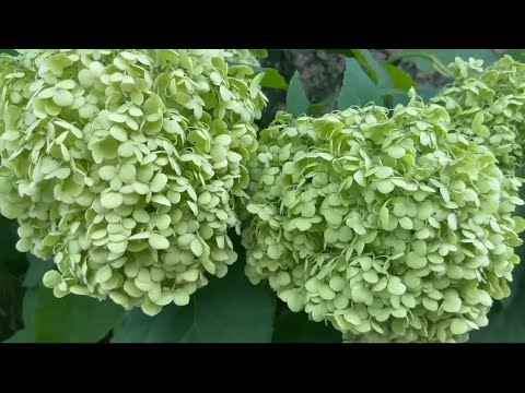 A beautiful piece using the warm sounds of a felt piano | Relaxing and Meditation Music for Sleep