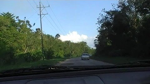 op de weg naar Moengo-Suriname