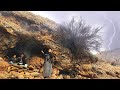 The Misery Of The Lone Survivor The Struggle Of A Nomadic Female Hero In Mountain Solitude Nomadic The Misery Of The Lone Survivor The Struggle Of A Nomadic Female Hero In Mountain Solitude Nomadic