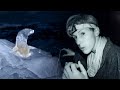 Vampire Bats feeding on Sea Lions | The Dark: Nature's Nighttime World | BBC Earth