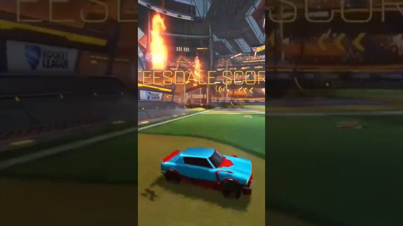 Just got the dingo love it 