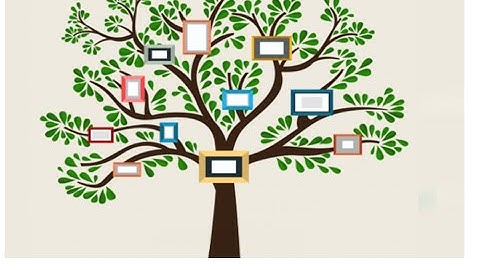 Decision Tree- آموزش درخت تصمیم در یادگیری ماشین