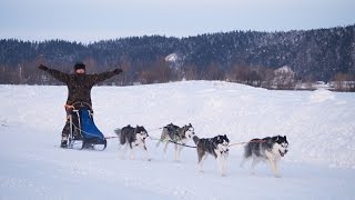 РОСО ФЕС ХМАО-Югры. Ездовые собаки. 23.01.2016 РОСО ФЕС ХМАО-Югры. Ездовые собаки. 23.01.2016