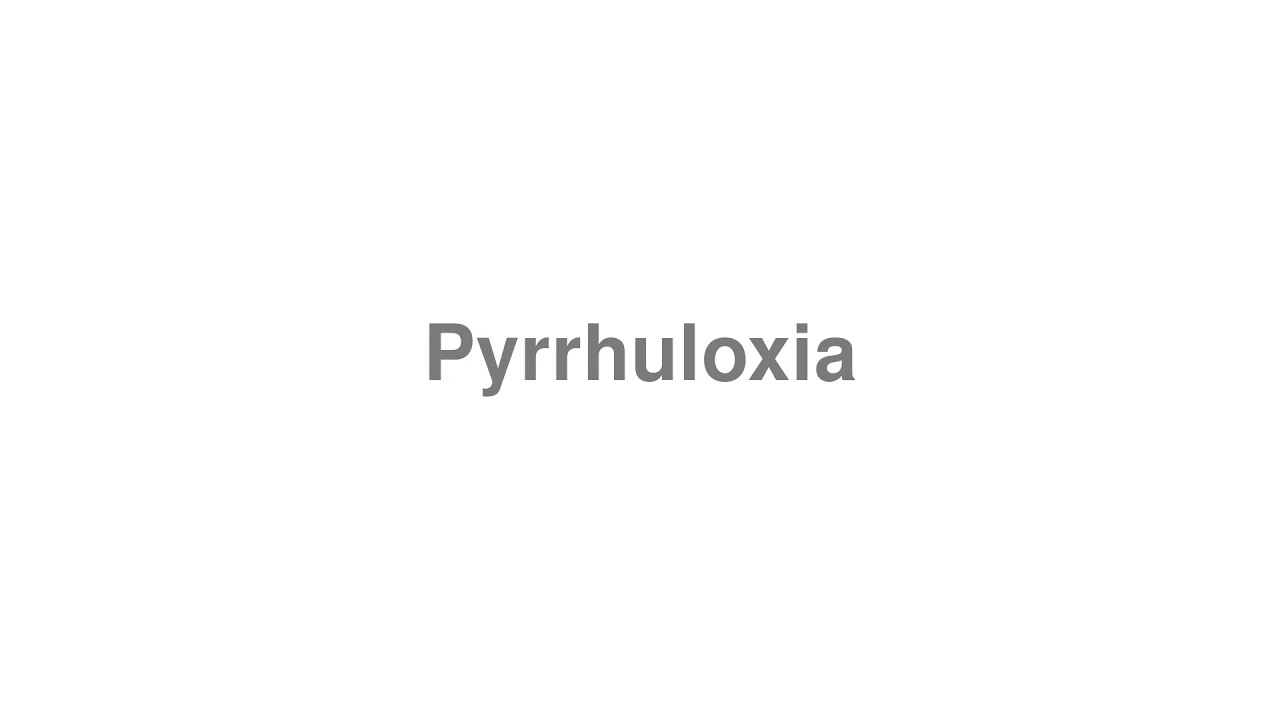 How to Pronounce "Pyrrhuloxia" 