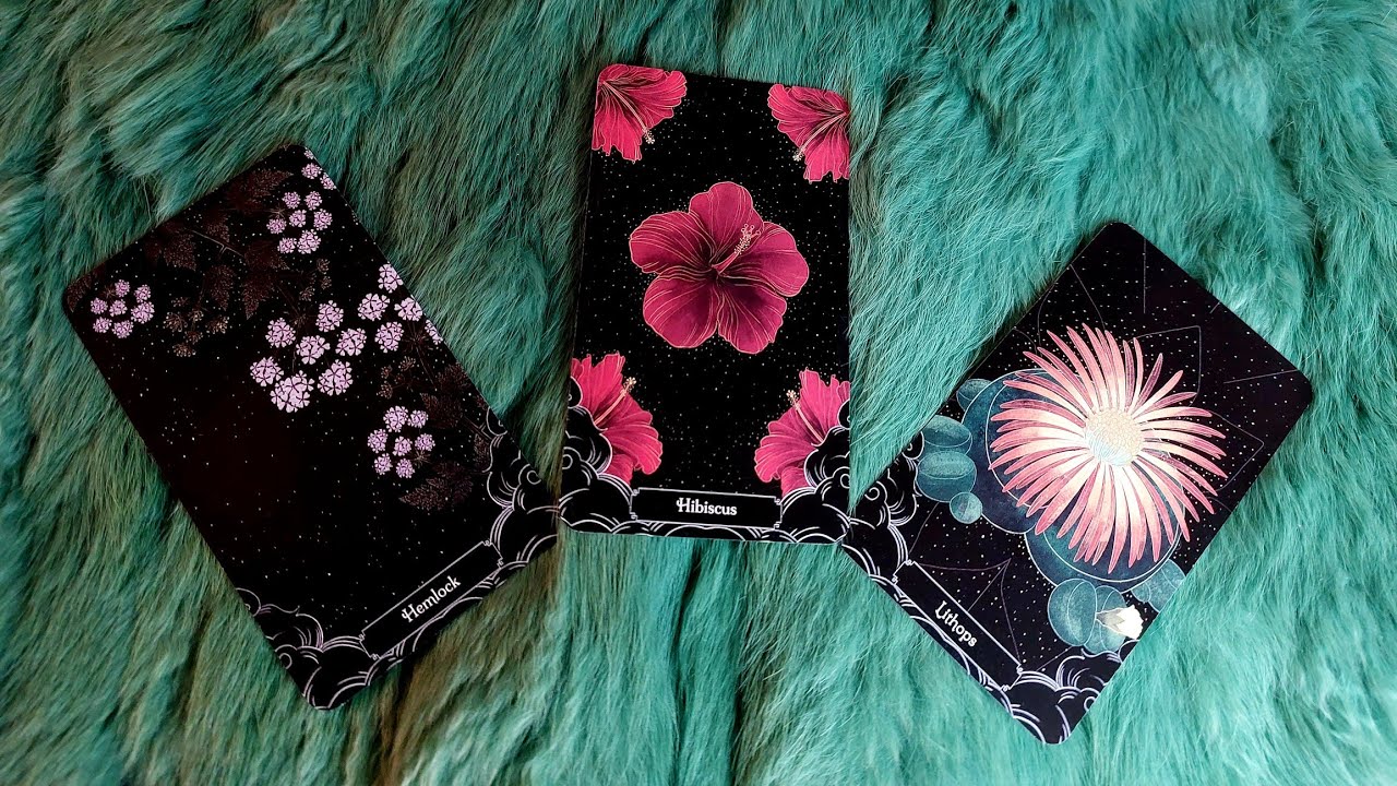 ĐIỀU GÌ ĐANG ÂM THẦM DIỄN RA MÀ BẠN CHƯA BIẾT ? @EvelynTarot