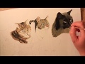 Acrylic painting timelapse cats