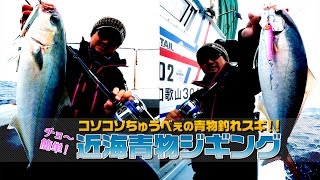 超簡単なライトジギング実釣動画！近海青物ジギング【シーガー・クレハ合繊】