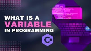 What is a Variable in Programming Language?