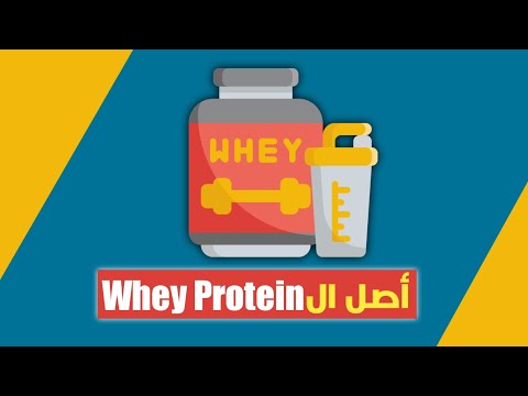 الفرق بين أنواع الواي بروتين
