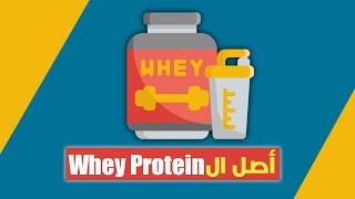 الفرق بين أنواع الواي بروتين - Whey protein